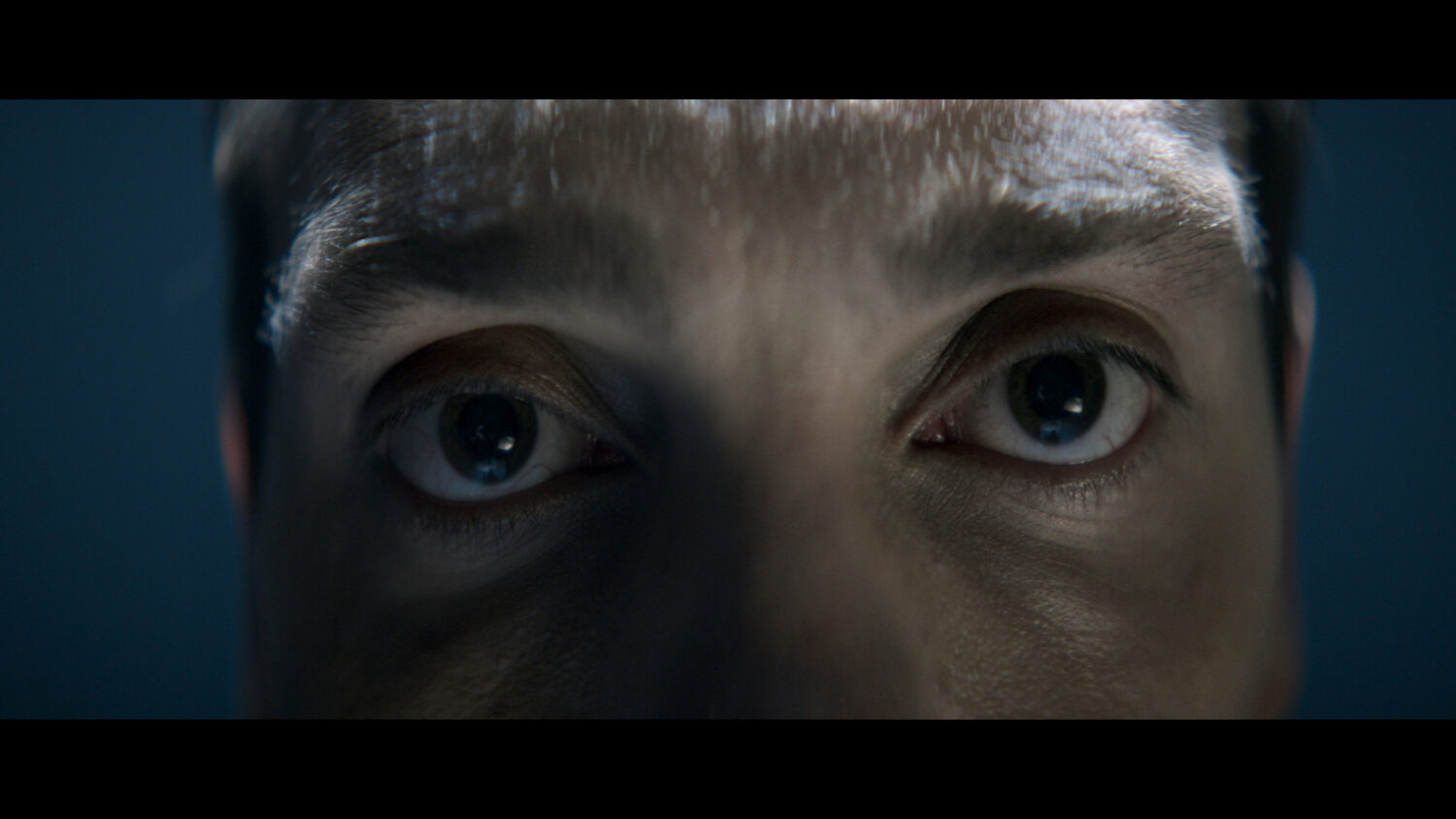 Harvest Digital Agriculture - Filmfest Hamburg // Trailer 2014