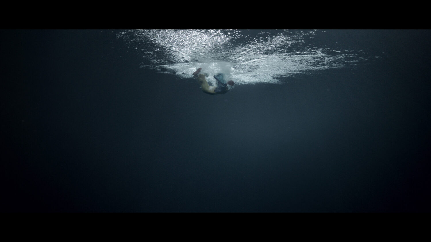 Harvest Digital Agriculture - Herbaria // Fears