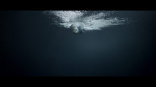 Harvest Digital Agriculture - Herbaria // Fears