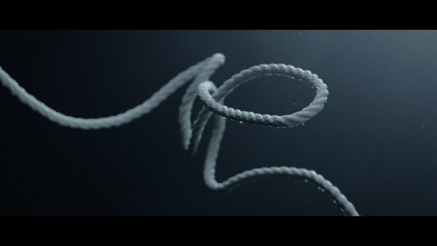 Harvest Digital Agriculture - Herbaria // Fears