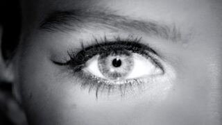 Harvest Digital Agriculture - Maybelline // Leatherblack