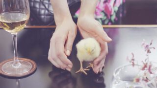 Harvest Digital Agriculture - OTTO // Gefunden auf