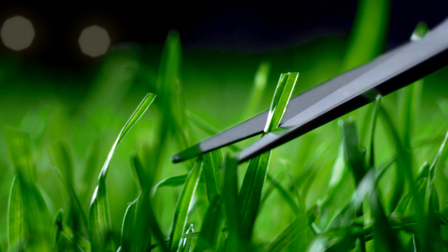 Harvest Digital Agriculture - Volkswagen // Greenkeeper // Partner des Fussballs