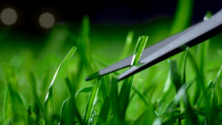 Harvest Digital Agriculture - Volkswagen // Greenkeeper // Partner des Fussballs