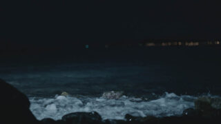 Harvest Digital Agriculture - LUNATIVE // THE COUPLE