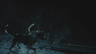 Harvest Digital Agriculture - LUNATIVE // THE COUPLE