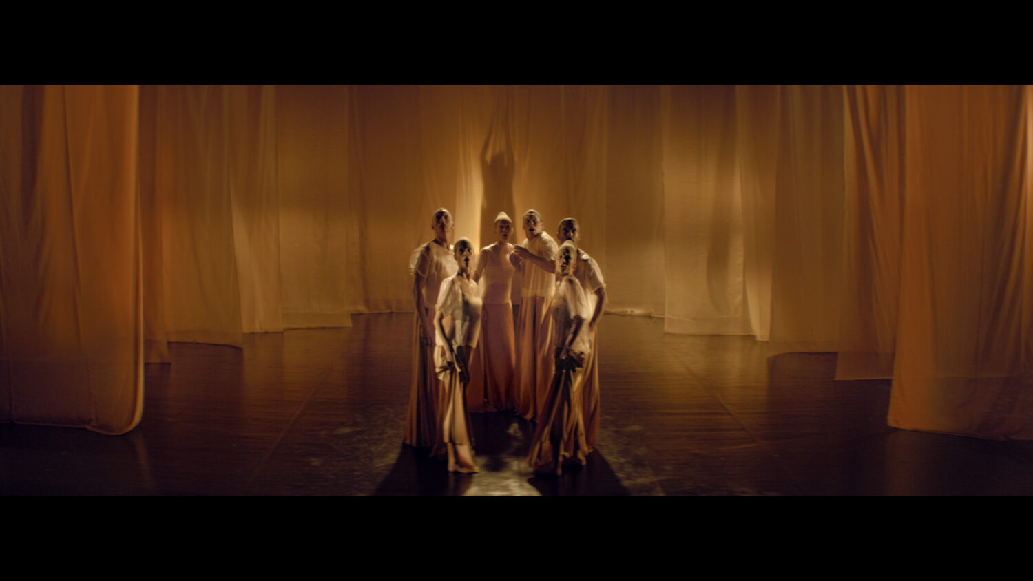 Harvest Digital Agriculture - Bonita // A Night at the Theatre