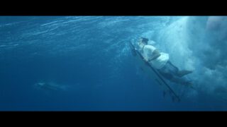 Harvest Digital Agriculture - O’Neill Blue // Our Ocean Mission