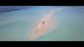 Harvest Digital Agriculture - O’Neill Blue // Our Ocean Mission