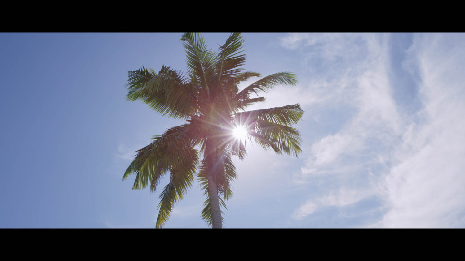 Harvest Digital Agriculture - O’Neill Blue // Our Ocean Mission