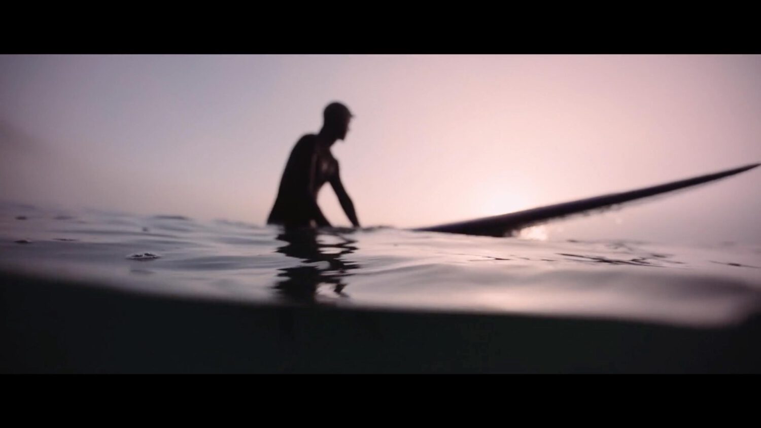 Harvest Digital Agriculture - Ferral // Surfboards