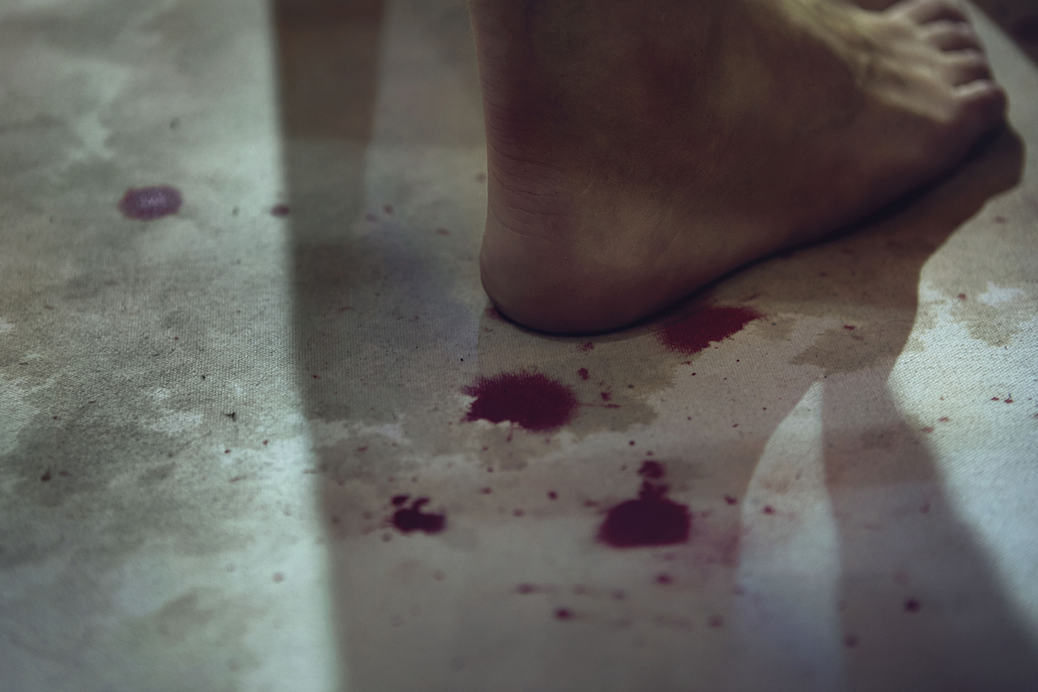 Harvest Digital Agriculture - Photo Series // Vollkontakt