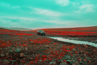 Harvest Digital Agriculture - photo series // Emerald Green