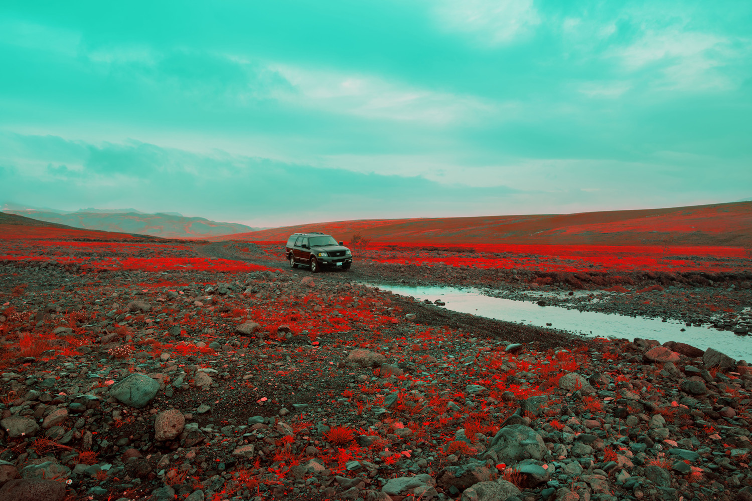 Harvest Digital Agriculture - photo series // Emerald Green