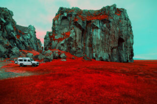 Harvest Digital Agriculture - photo series // Emerald Green