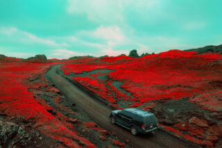 Harvest Digital Agriculture - photo series // Emerald Green