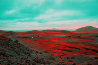 Harvest Digital Agriculture - photo series // Emerald Green