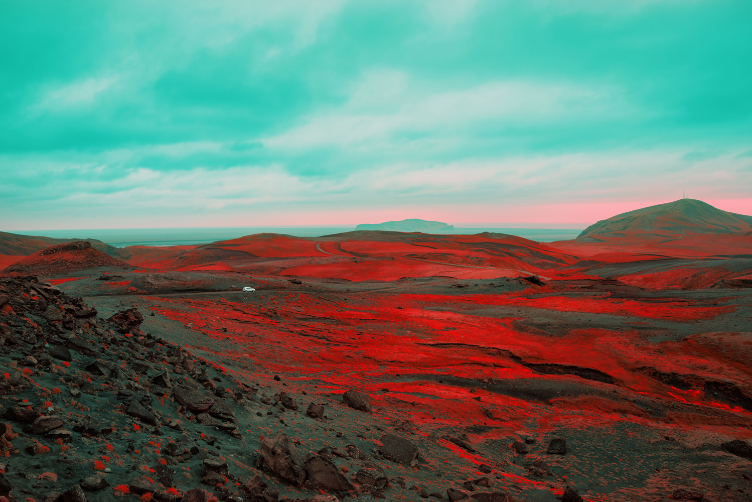 Harvest Digital Agriculture - photo series // Emerald Green