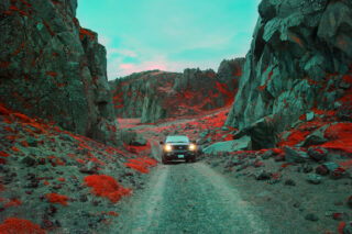 Harvest Digital Agriculture - photo series // Emerald Green