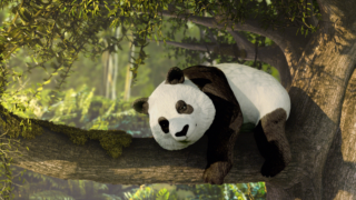 Harvest Digital Agriculture - EDEKA // SCHLEICH-TIERE