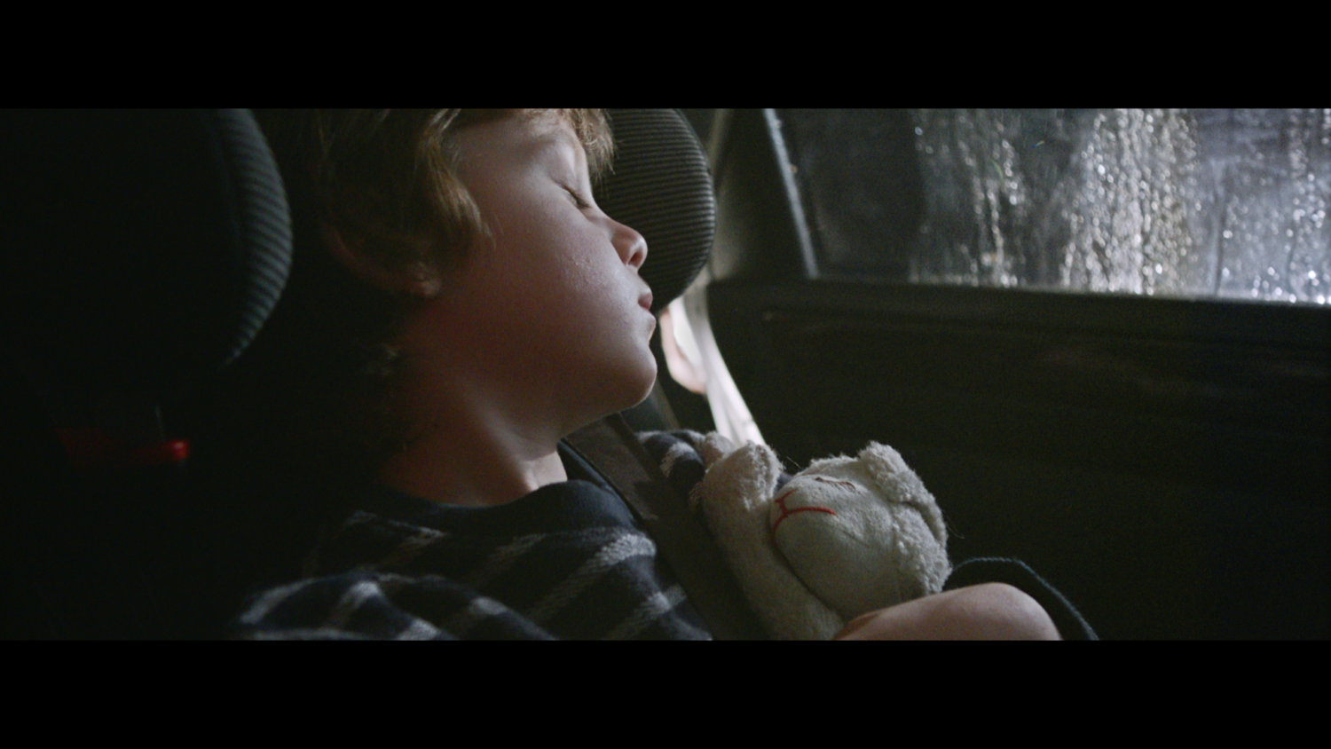 Harvest Digital Agriculture - Runter vom Gas // FingervomHandy