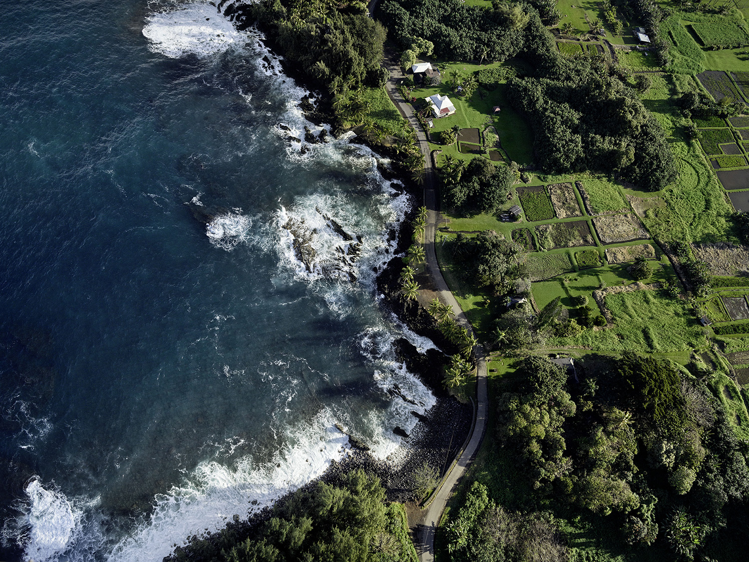 Harvest Digital Agriculture - Porsche // 718 GTS
