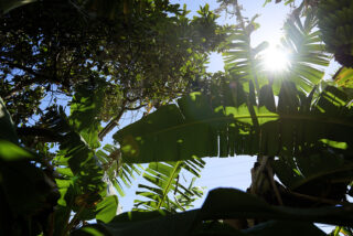 Harvest Digital Agriculture - Porsche // 718 GTS