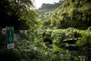 Harvest Digital Agriculture - Porsche // 718 GTS