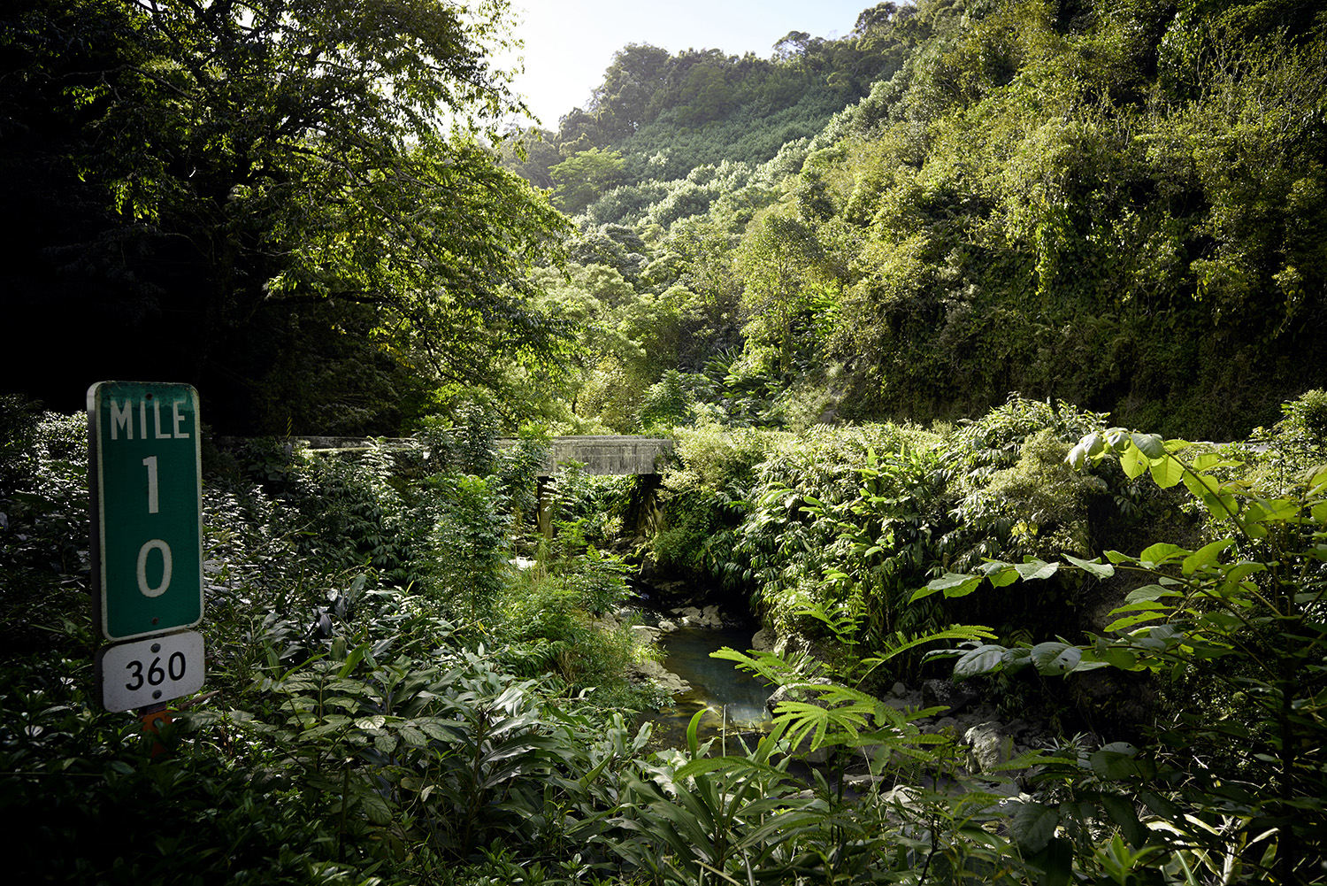 Harvest Digital Agriculture - Porsche // 718 GTS