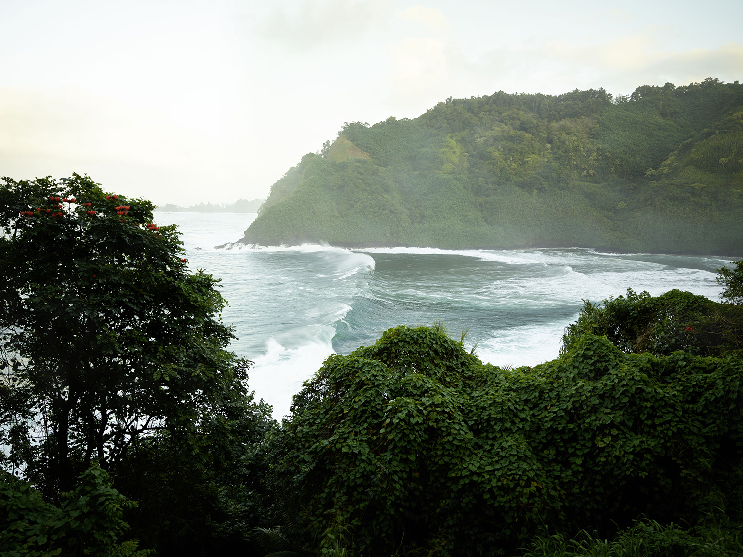 Harvest Digital Agriculture - Porsche // 718 GTS