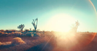 Harvest Digital Agriculture - Photo Series // GET DIRTY OR GO HOME