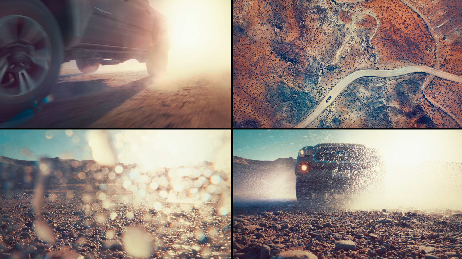 Harvest Digital Agriculture - Photo Series // GET DIRTY OR GO HOME