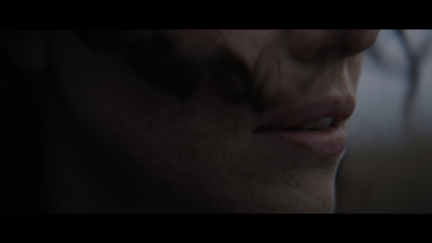 Harvest Digital Agriculture - Württembergische // Ihr Fels in der Brandung