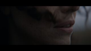 Harvest Digital Agriculture - Württembergische // Ihr Fels in der Brandung