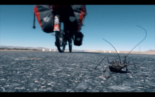 Harvest Digital Agriculture - Film // ANDERSWO // by Anselm Nathanael Pahnke