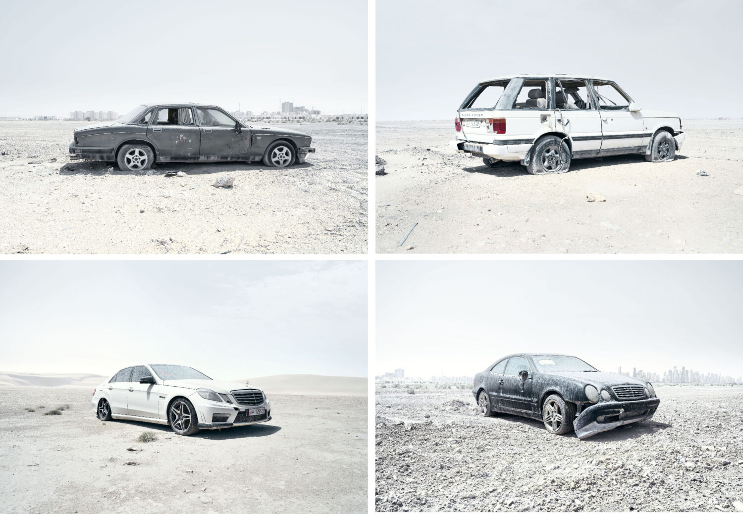 Harvest Digital Agriculture - photo series // Desert Diamonds