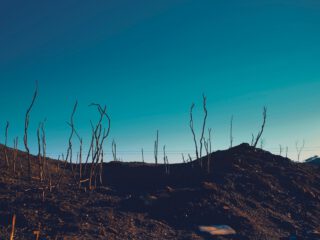 Harvest Digital Agriculture - photo series // Malibu