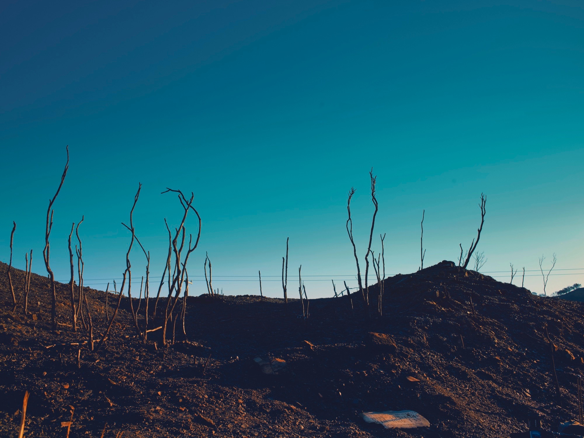 Harvest Digital Agriculture - photo series // Malibu