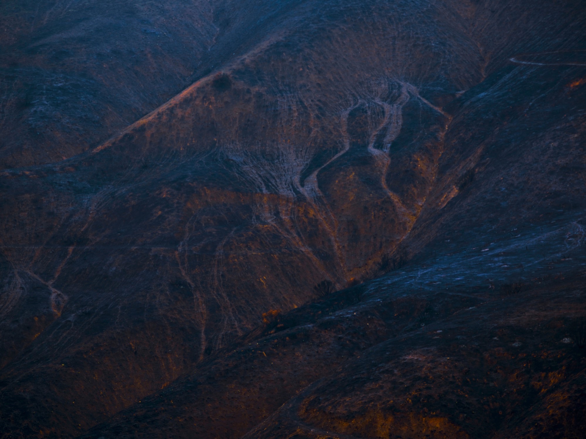 Harvest Digital Agriculture - photo series // Malibu