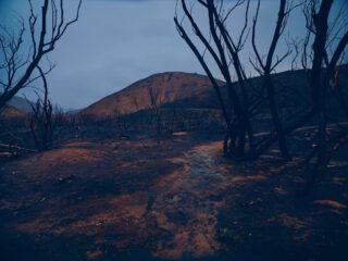 Harvest Digital Agriculture - photo series // Malibu