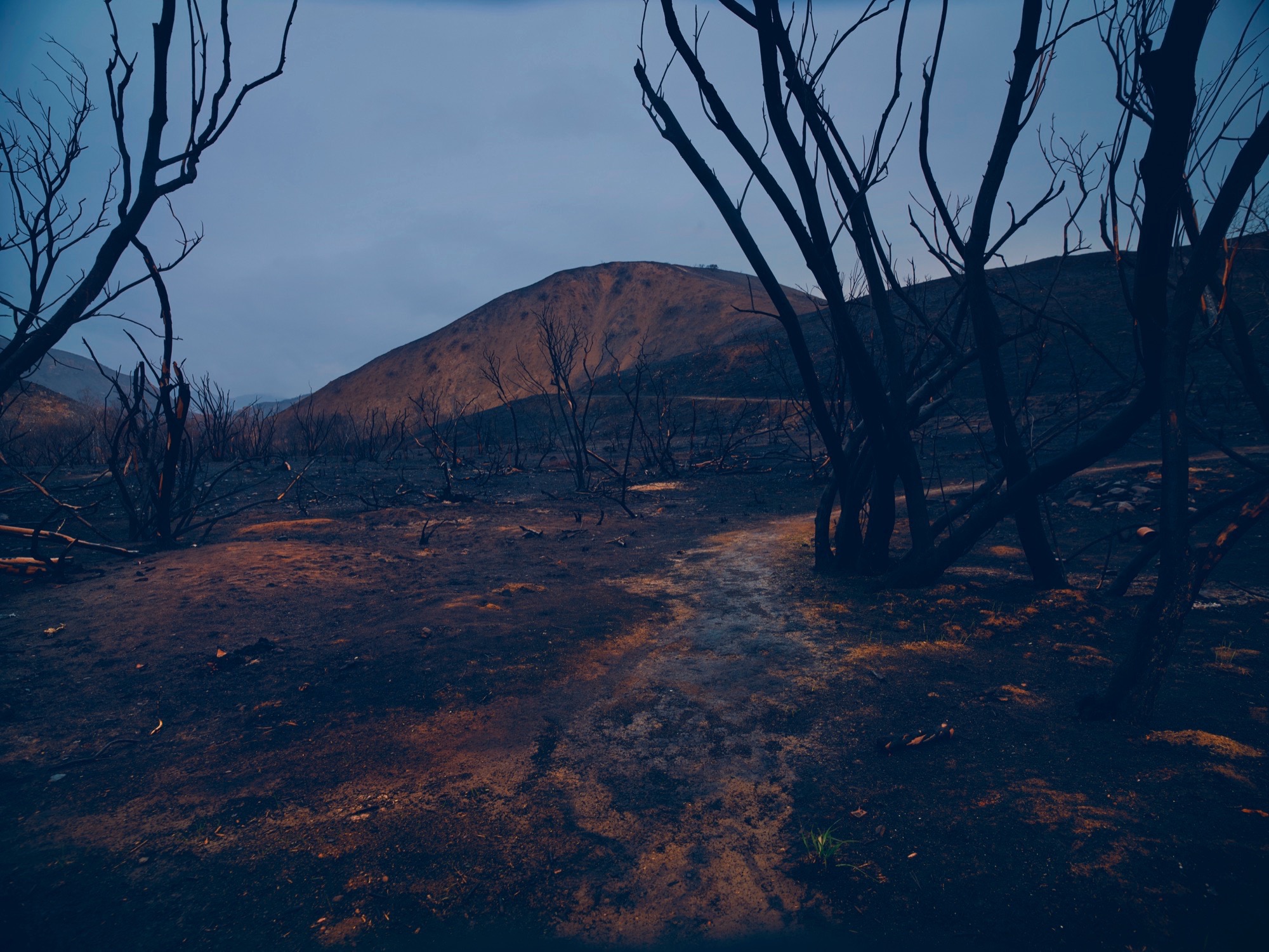 Harvest Digital Agriculture - photo series // Malibu