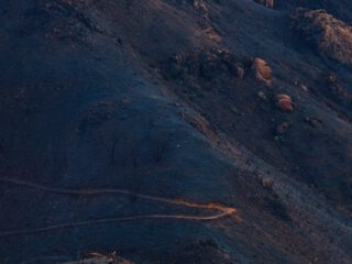 Harvest Digital Agriculture - photo series // Malibu