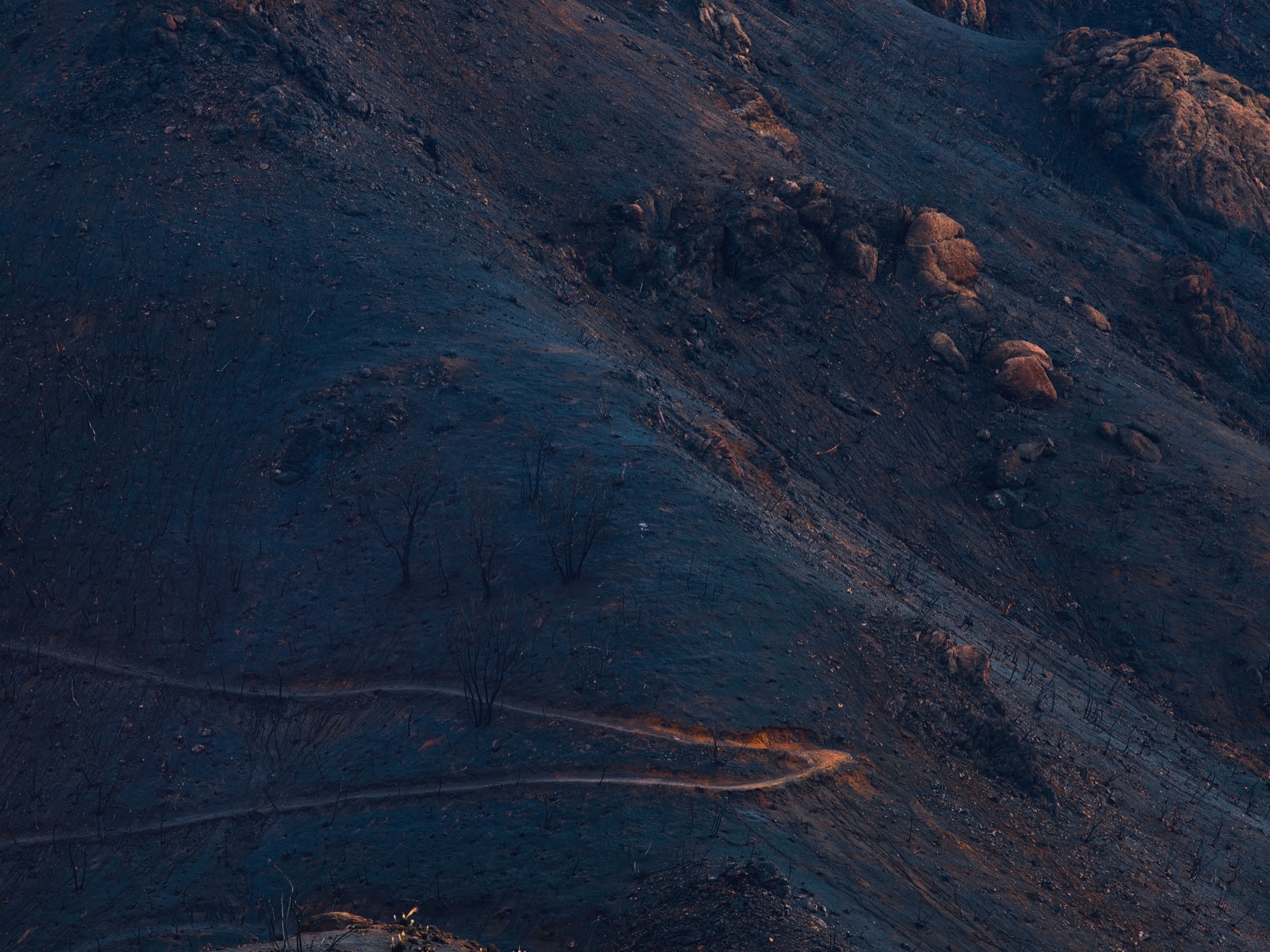 Harvest Digital Agriculture - photo series // Malibu