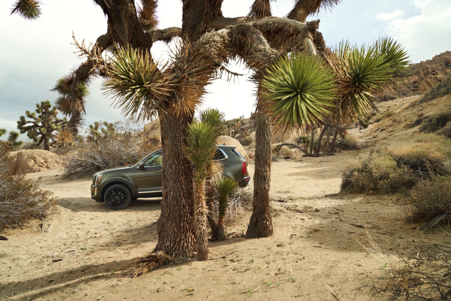 Harvest Digital Agriculture - Kia USA // Telluride - Retouching