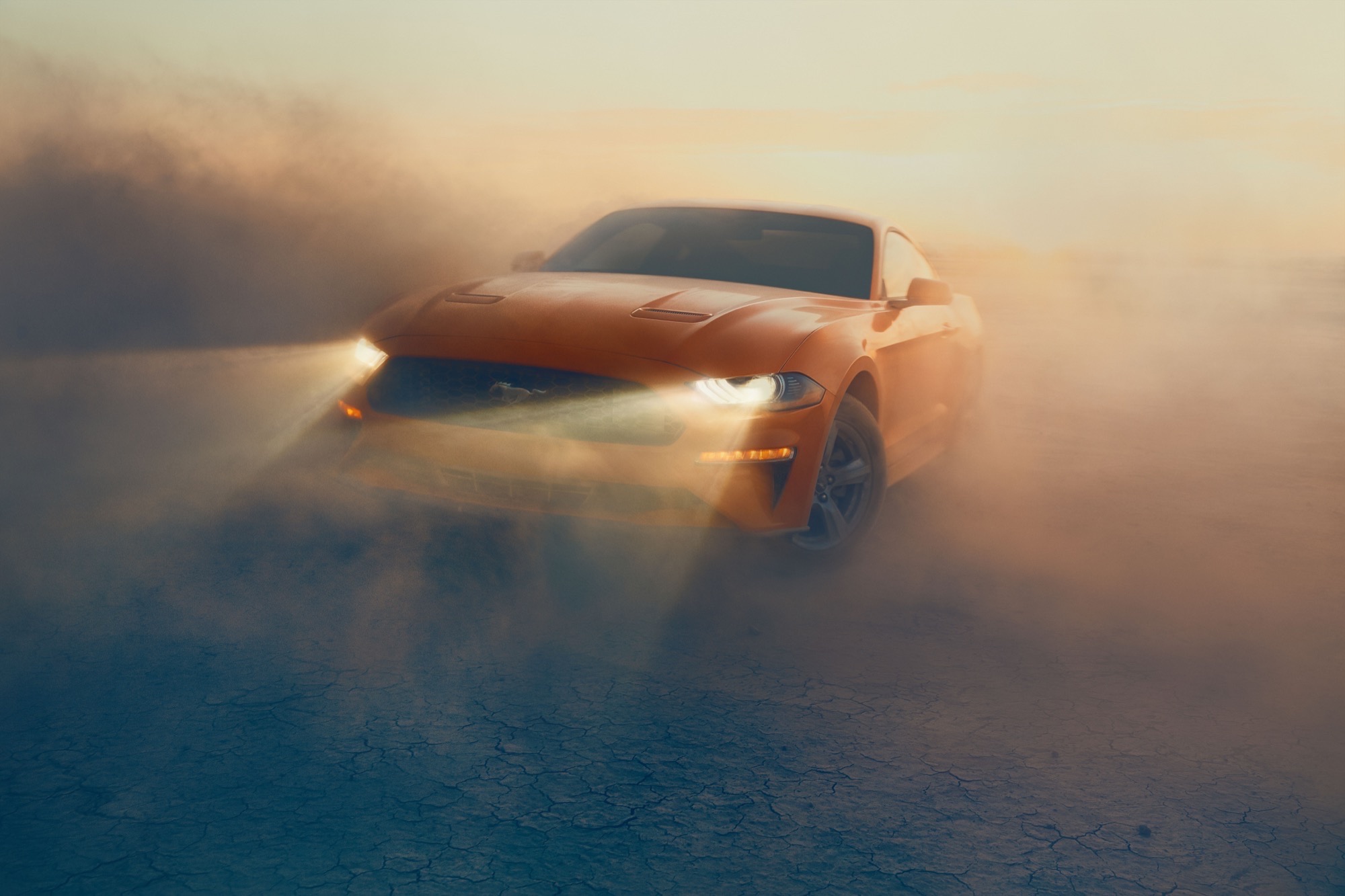 Harvest Digital Agriculture - photo series // Dusty