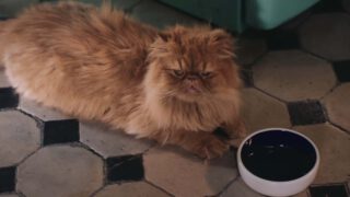 Harvest Digital Agriculture - Kaufland // Fruits of Love