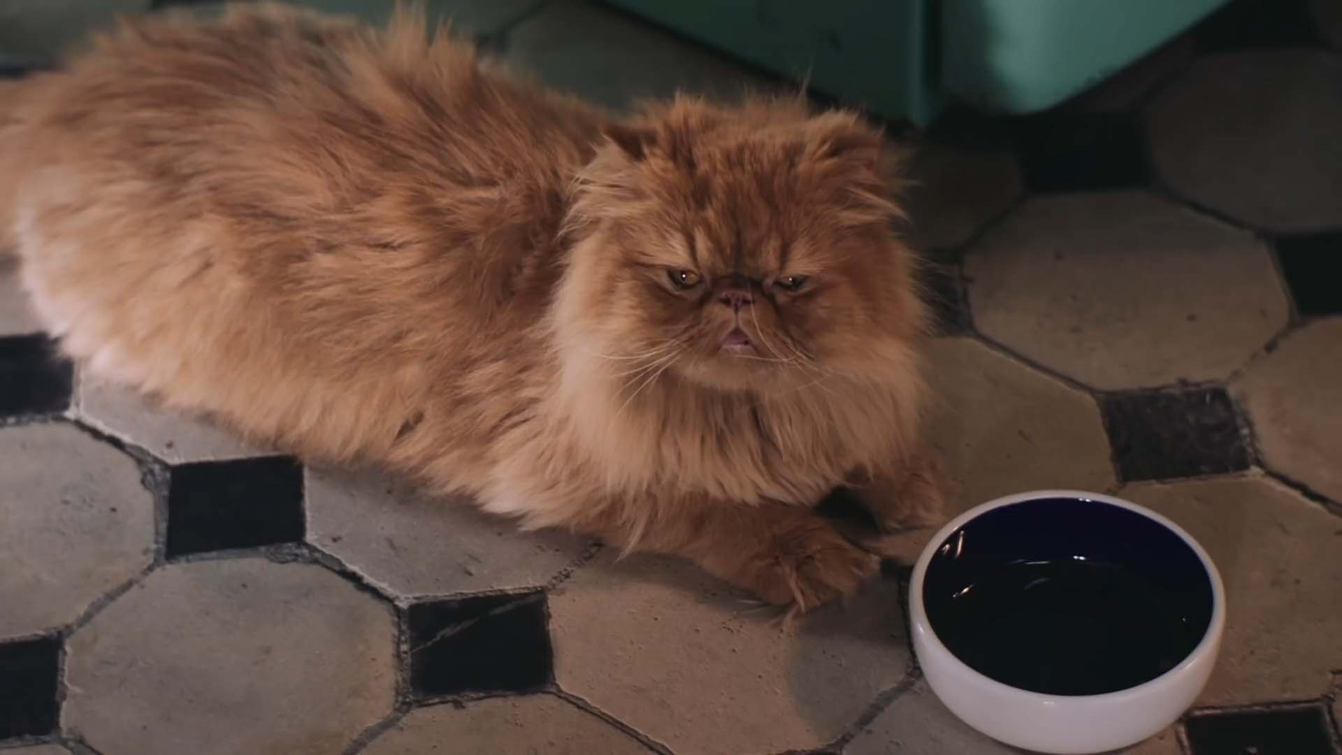 Harvest Digital Agriculture - Kaufland // Fruits of Love