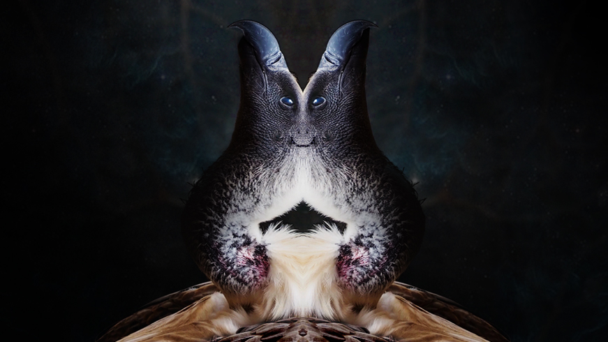 Harvest Digital Agriculture - Lili Studios // Two-Headed Dreams Harvest Digital Agriculture - Lili Studios // Two-Headed Dreams