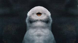 Harvest Digital Agriculture - Lili Studios // Two-Headed Dreams Harvest Digital Agriculture - Lili Studios // Two-Headed Dreams