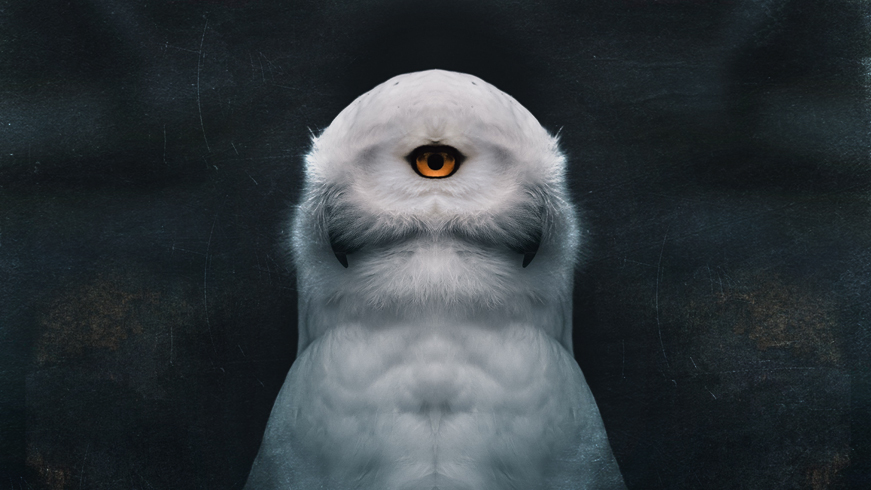 Harvest Digital Agriculture - Lili Studios // Two-Headed Dreams Harvest Digital Agriculture - Lili Studios // Two-Headed Dreams